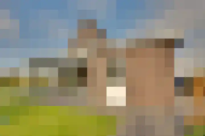 Zwartebessenstraat 16 Lewedorp thumbnail 96