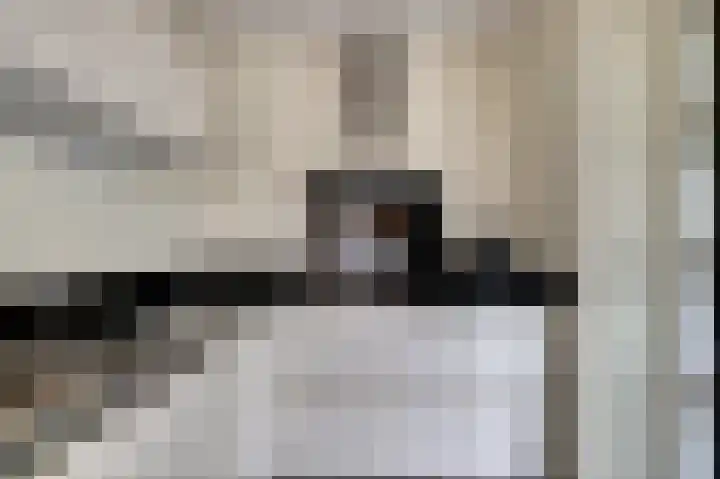 Zwartebessestraat 48 Krabbendijke thumbnail 13