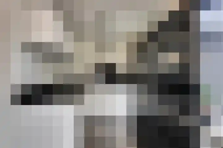 Zwartebessestraat 48 Krabbendijke thumbnail 14