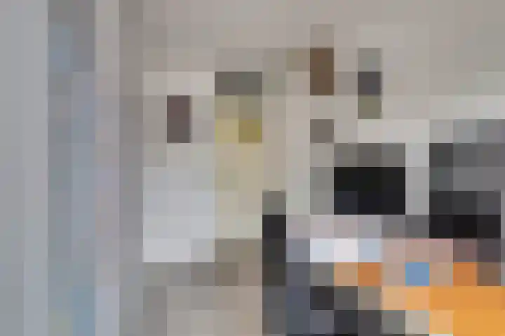 Zwartebessestraat 48 Krabbendijke thumbnail 20