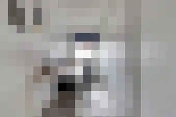 Zwartebessestraat 48 Krabbendijke thumbnail 21