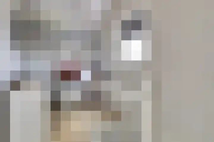 Zwartebessestraat 48 Krabbendijke thumbnail 30