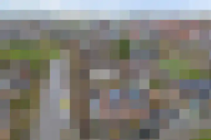 Zwartebessestraat 48 Krabbendijke thumbnail 37