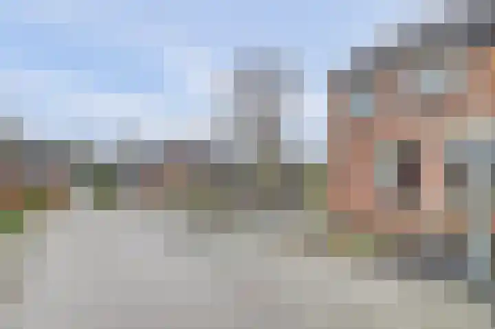 Zwartebessestraat 48 Krabbendijke thumbnail 4