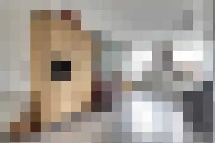 Zwartebessestraat 48 Krabbendijke thumbnail 6