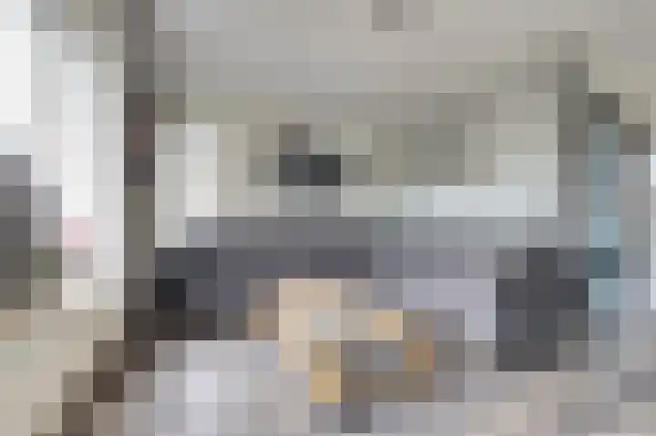 Zwartebessestraat 48 Krabbendijke thumbnail 7