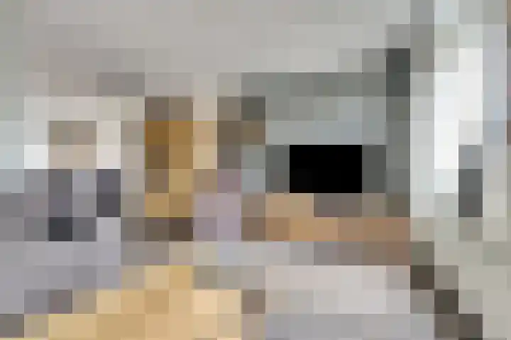 Zwartebessestraat 48 Krabbendijke thumbnail 8