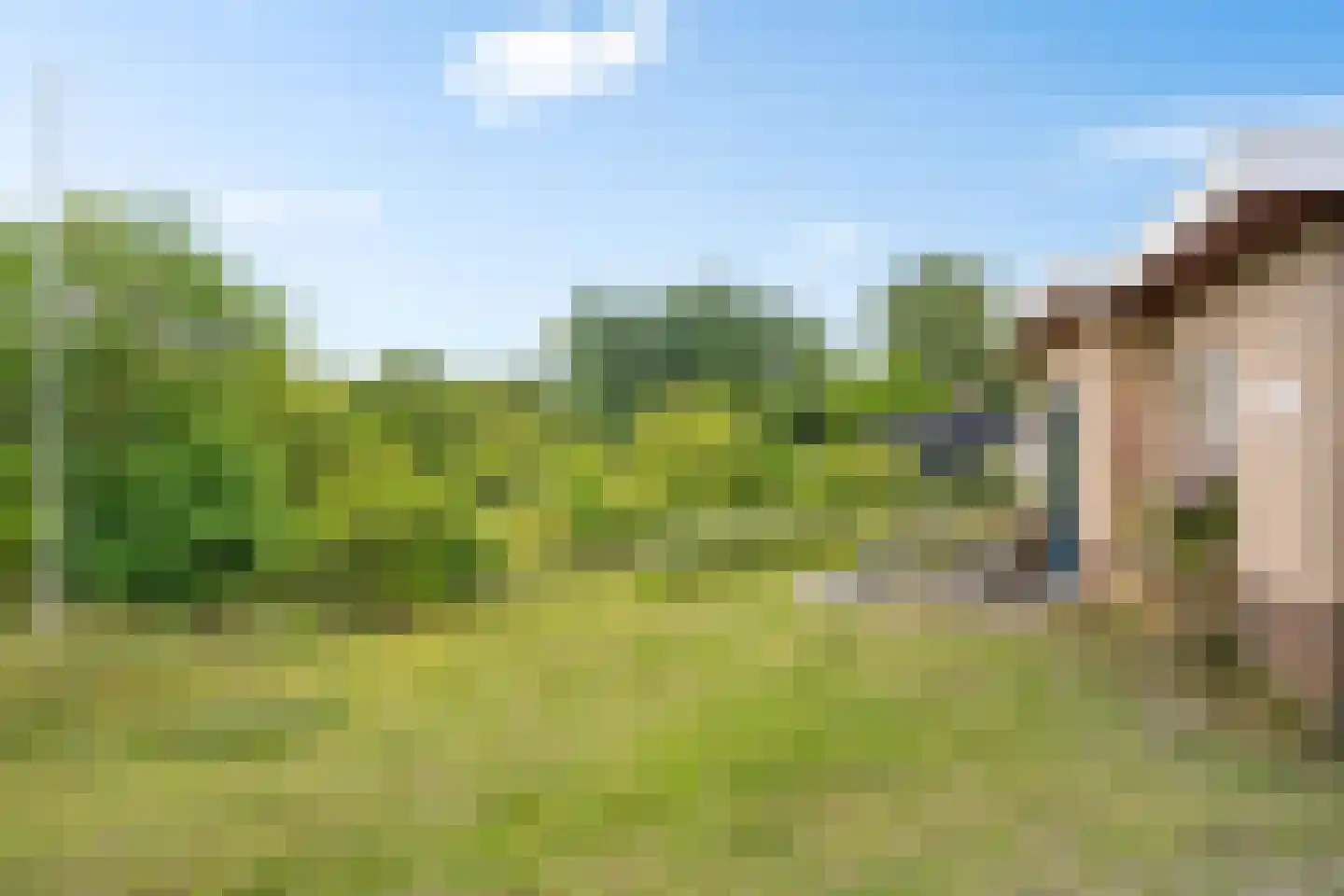 Zwarteduinenweg 12 Schiermonnikoog thumbnail 18