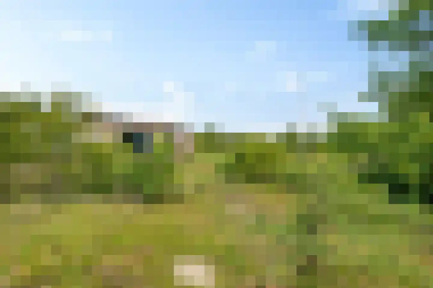 Zwarteduinenweg 12 Schiermonnikoog thumbnail 19