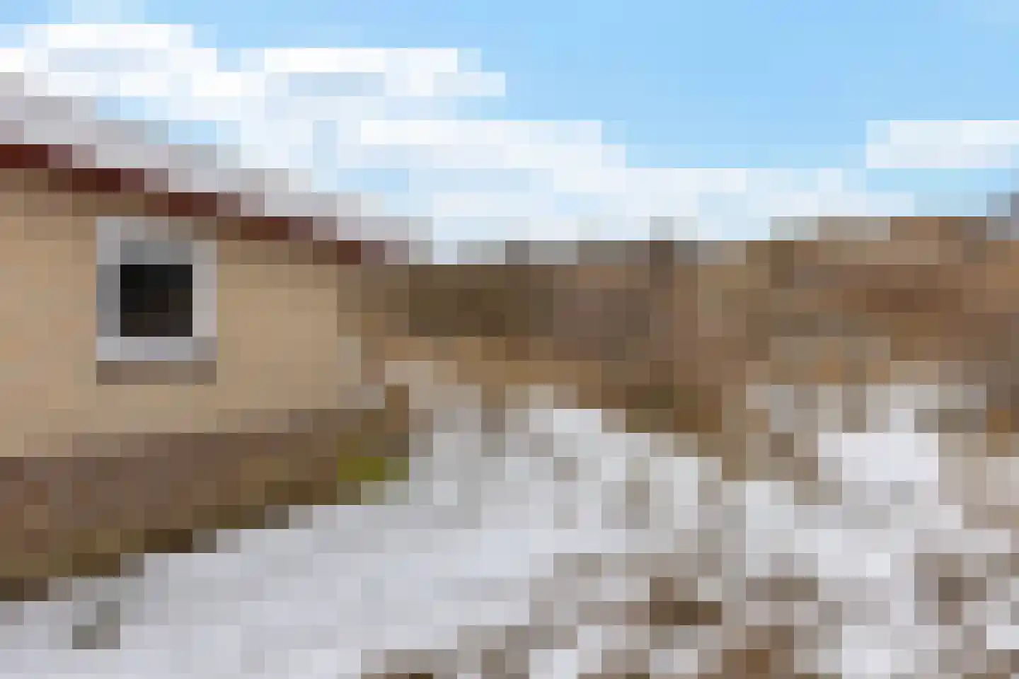 Zwarteduinenweg 12 Schiermonnikoog thumbnail 20
