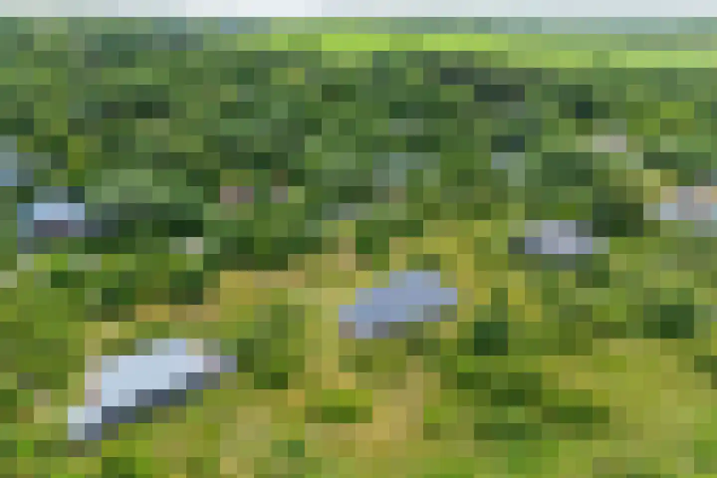 Zwarteduinenweg 12 Schiermonnikoog thumbnail 20