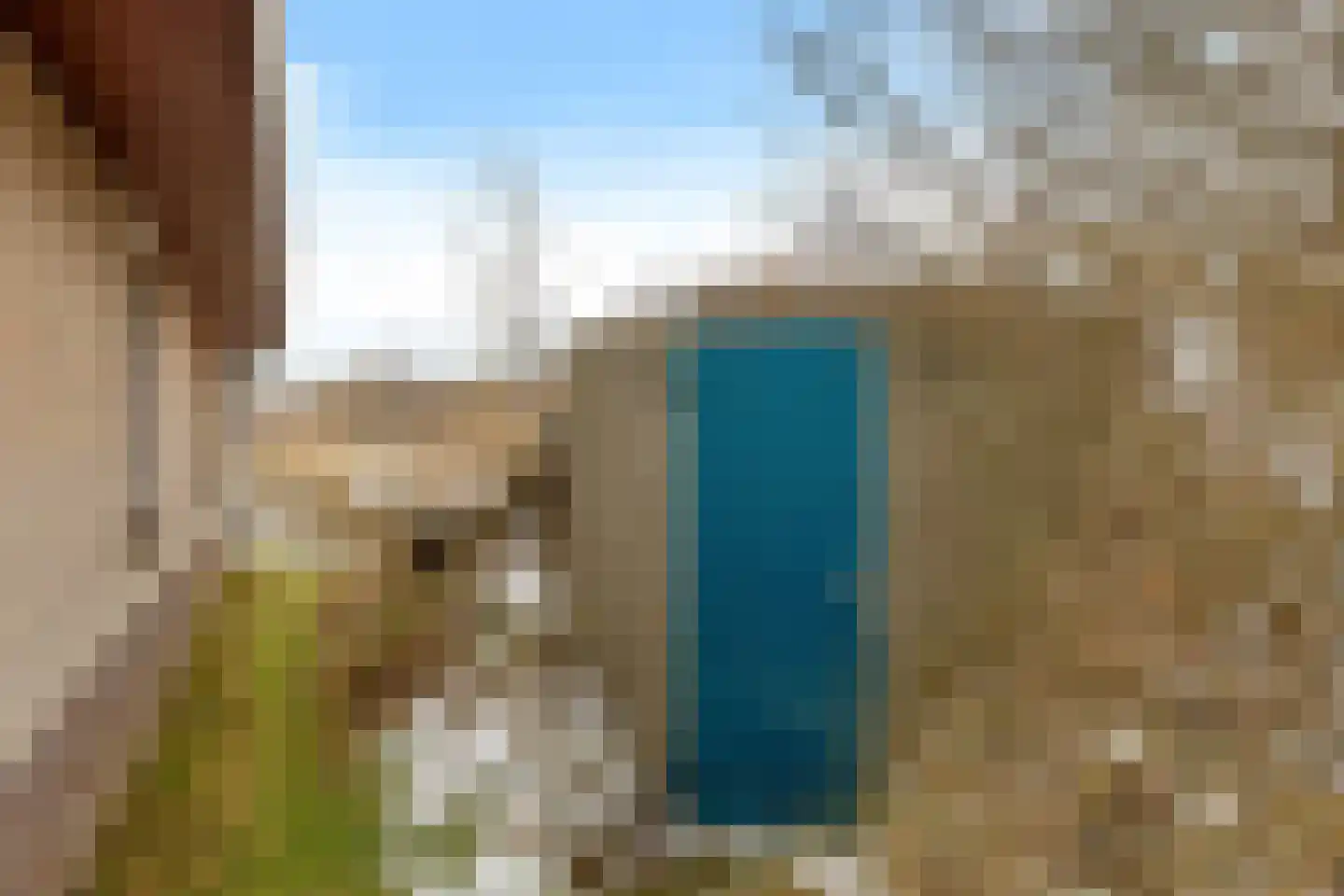 Zwarteduinenweg 12 Schiermonnikoog thumbnail 21