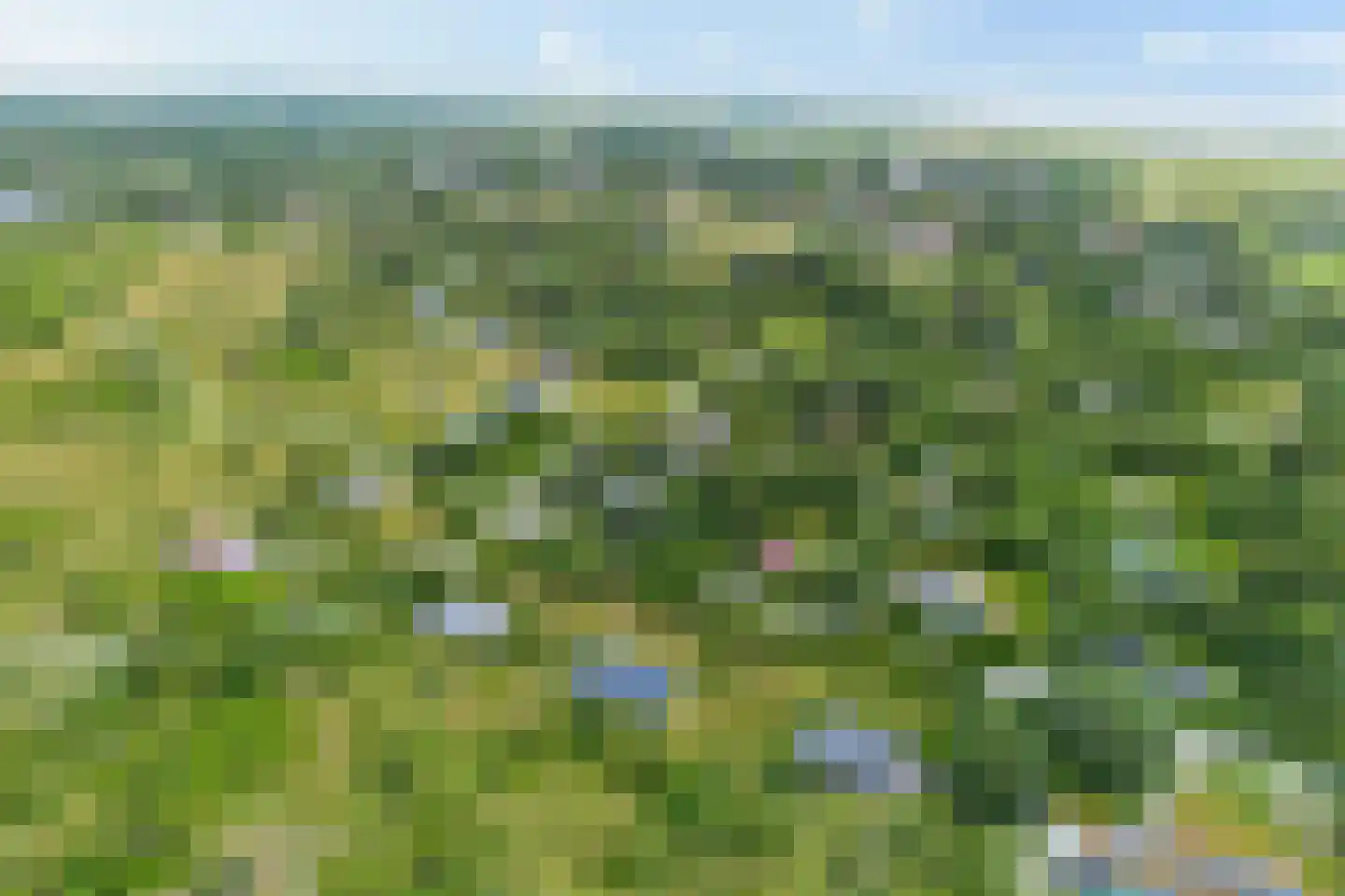 Zwarteduinenweg 12 Schiermonnikoog thumbnail 21