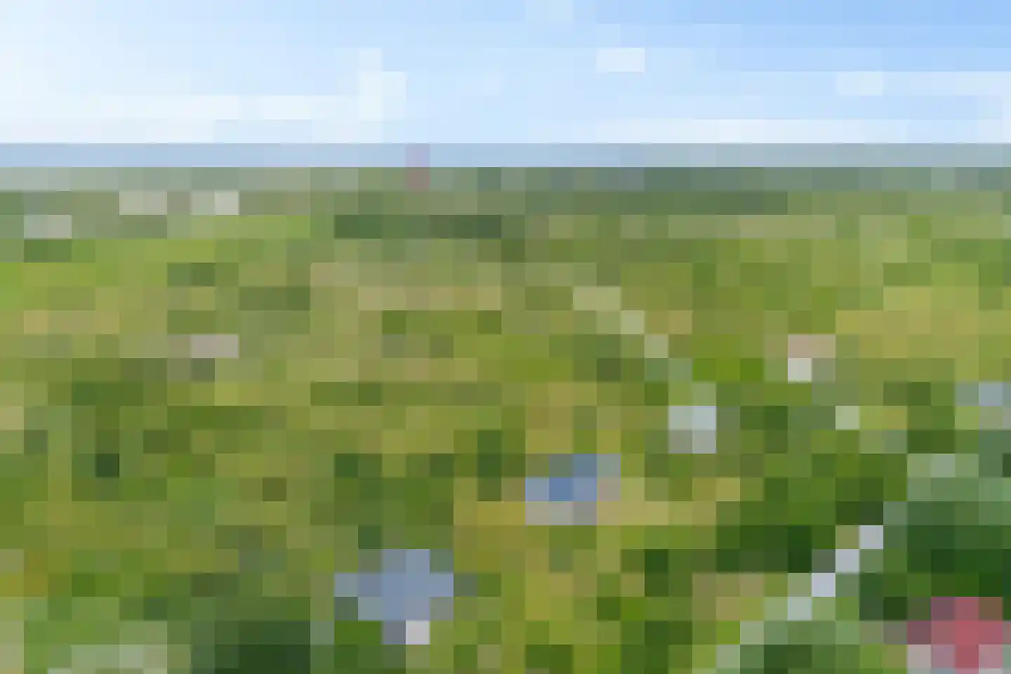 Zwarteduinenweg 12 Schiermonnikoog thumbnail 22