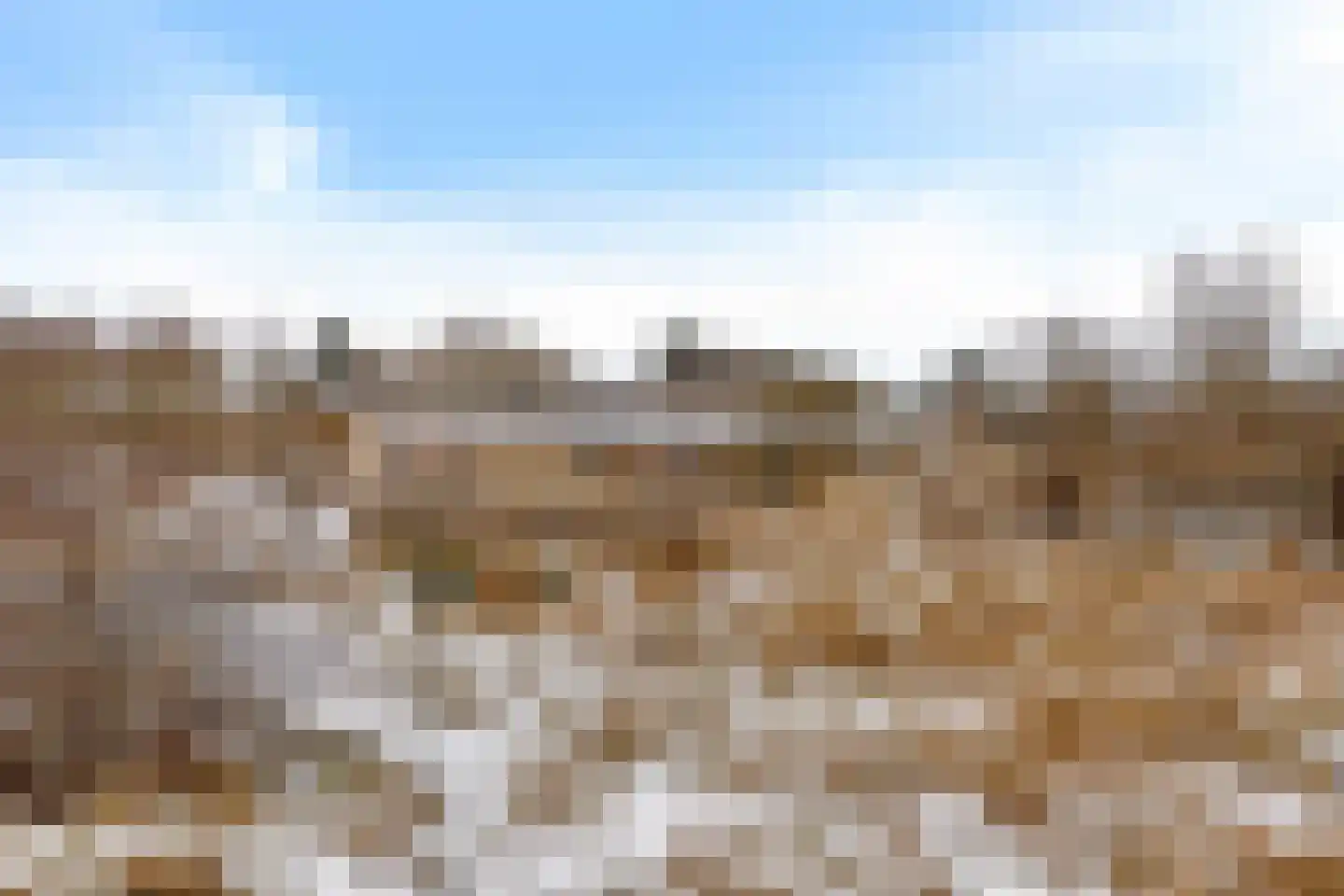 Zwarteduinenweg 12 Schiermonnikoog thumbnail 22