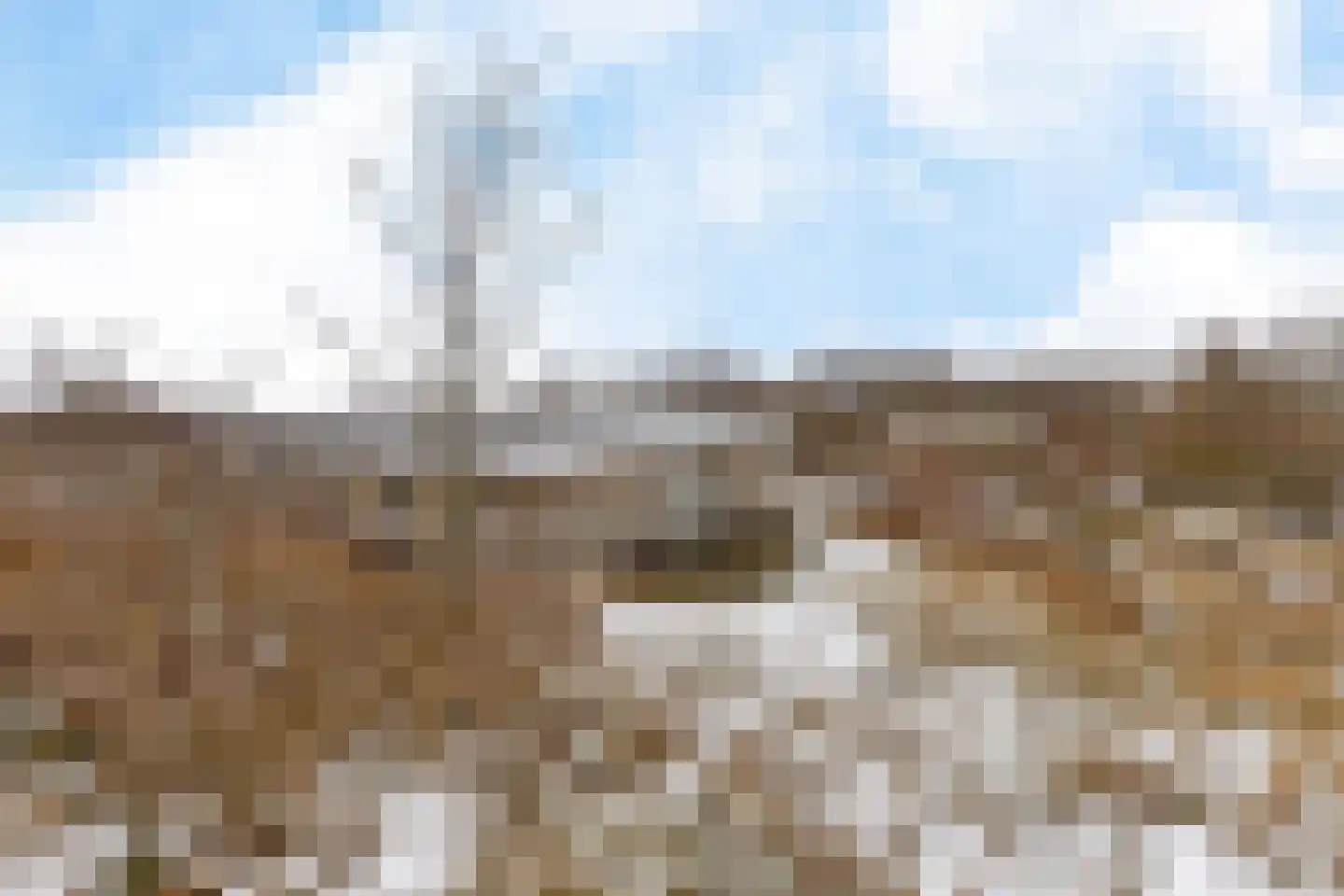 Zwarteduinenweg 12 Schiermonnikoog thumbnail 23
