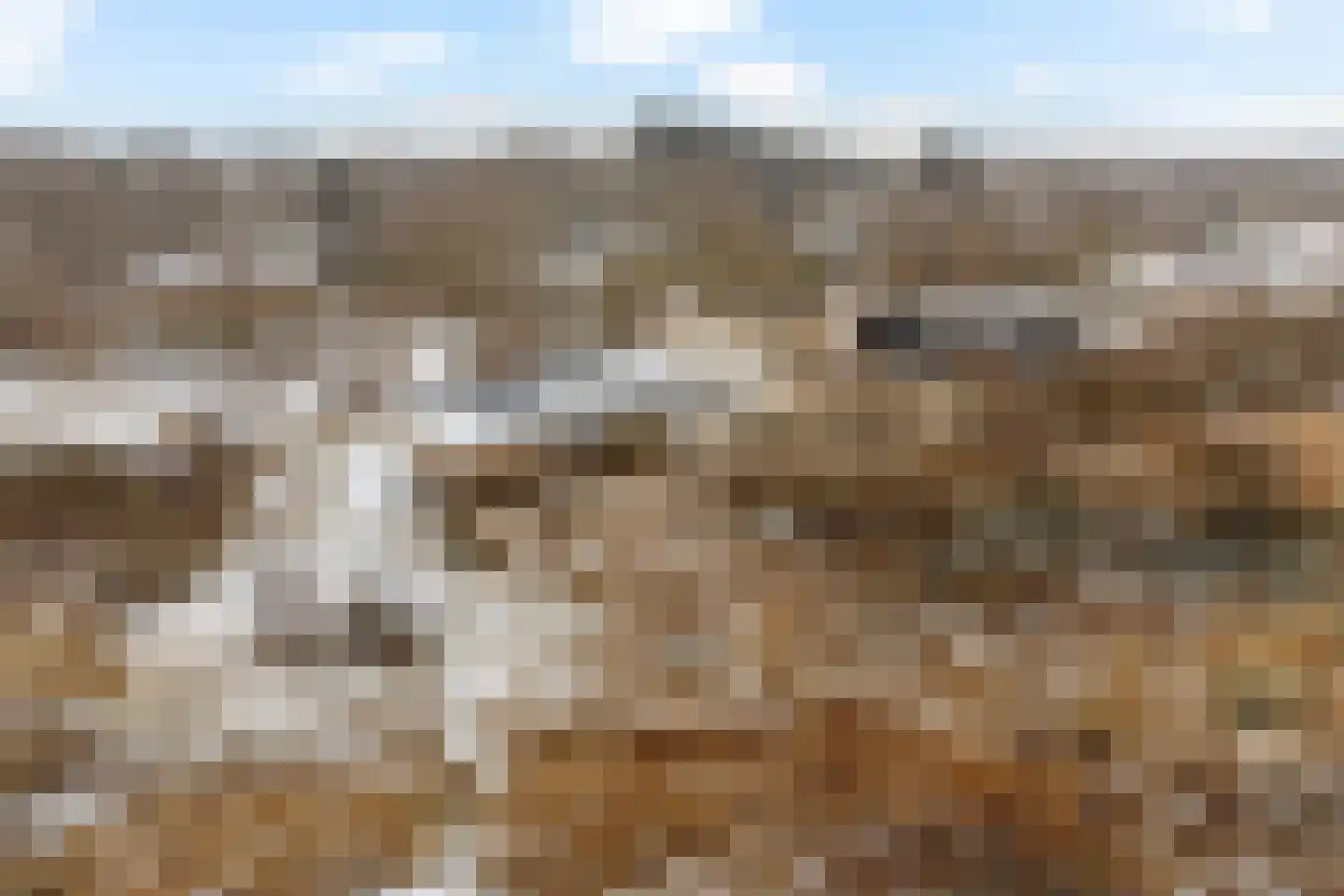 Zwarteduinenweg 12 Schiermonnikoog thumbnail 26