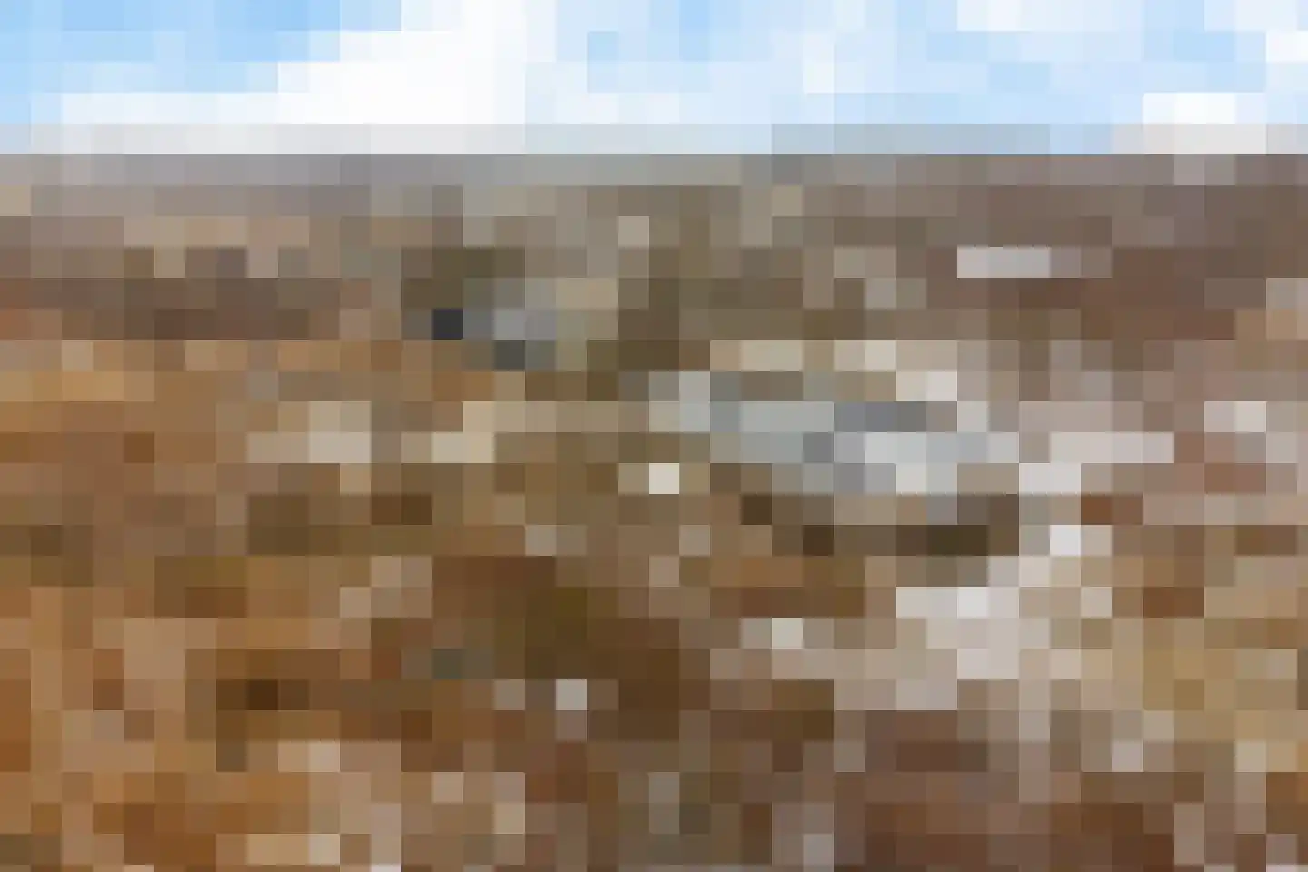 Zwarteduinenweg 12 Schiermonnikoog thumbnail 27