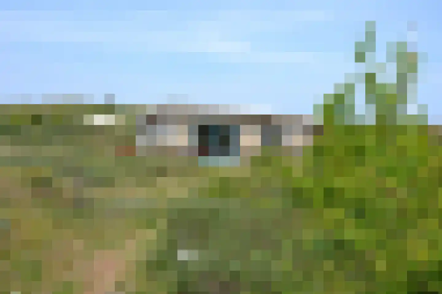 Zwarteduinenweg 12 Schiermonnikoog foto 3
