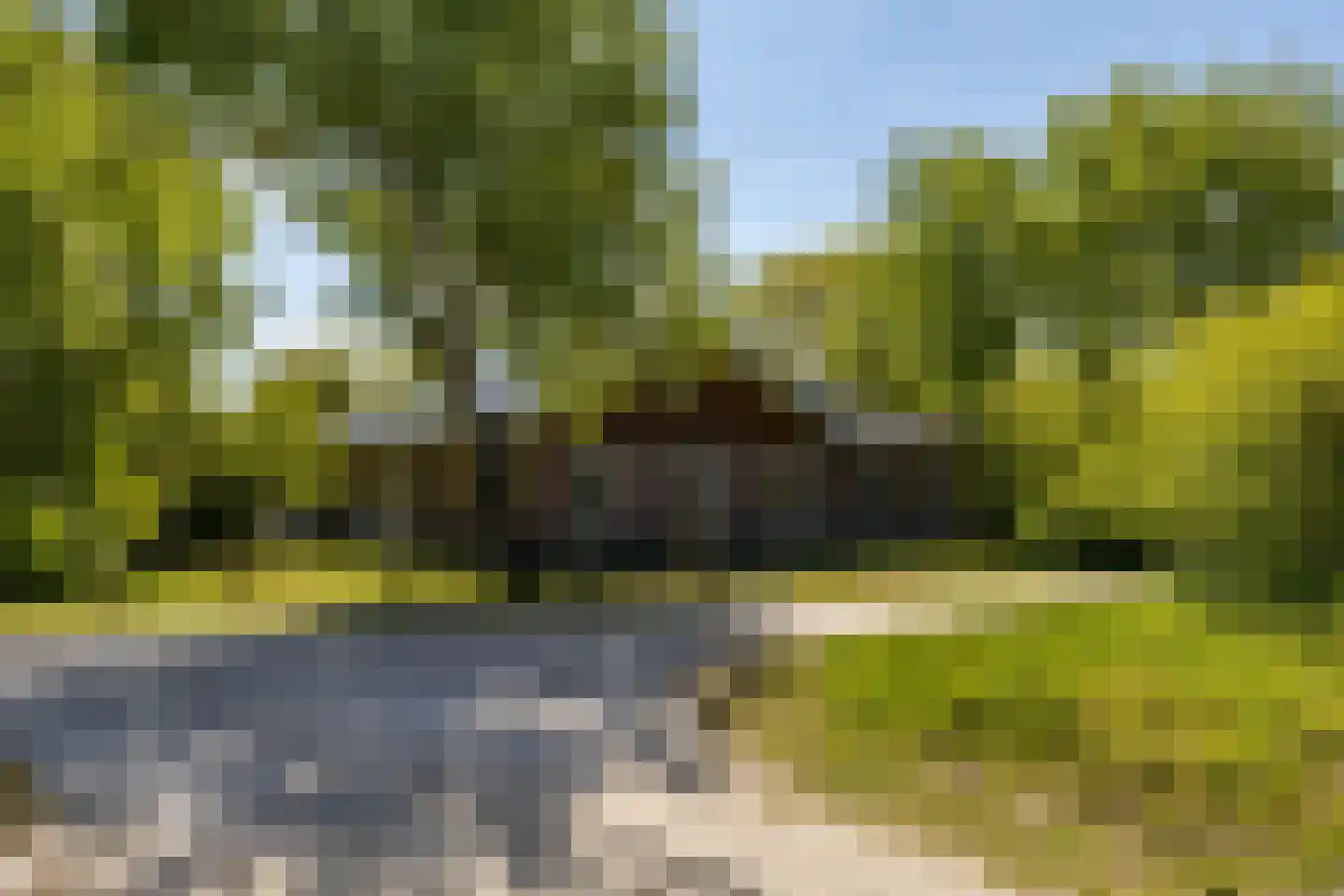 Zwarteduinenweg 5 Schiermonnikoog