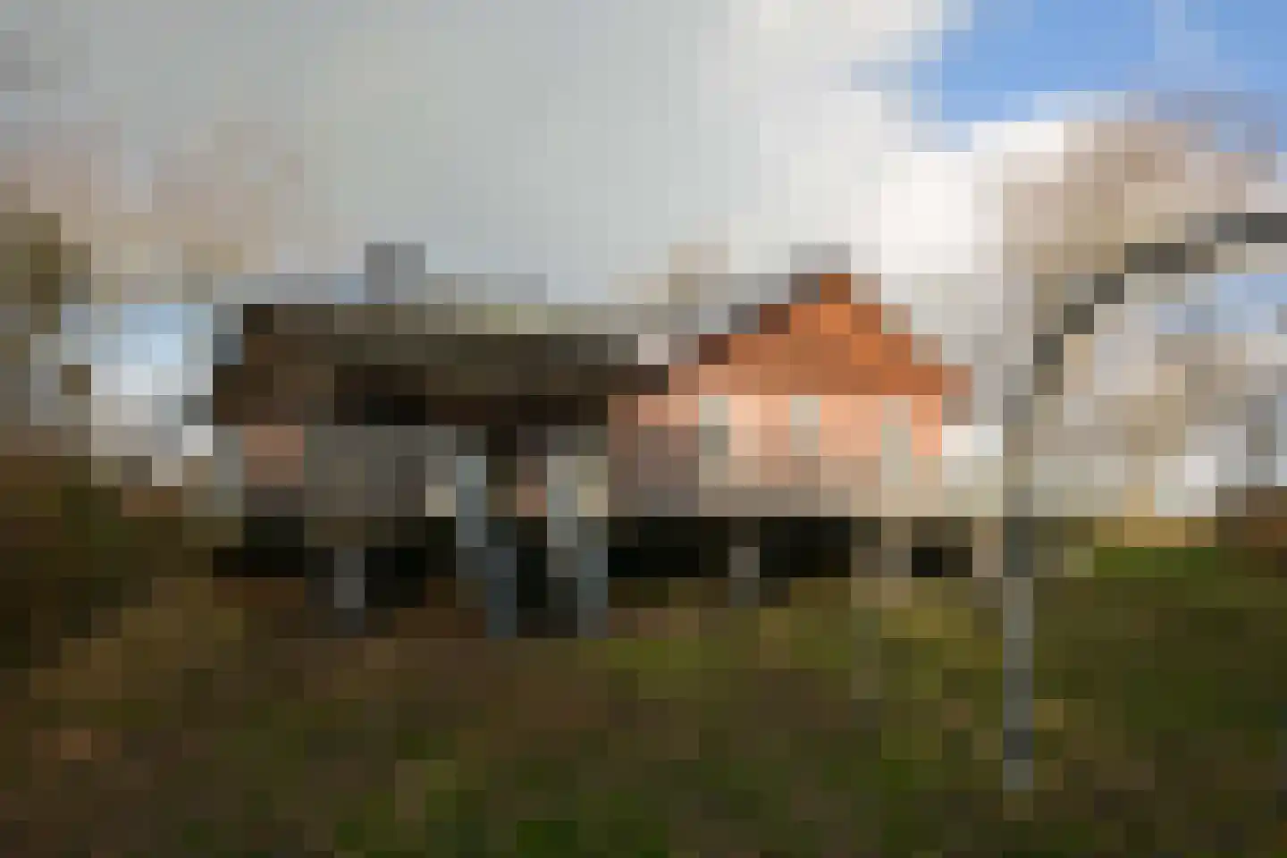 Zwarteduinenweg 5 Schiermonnikoog foto 2