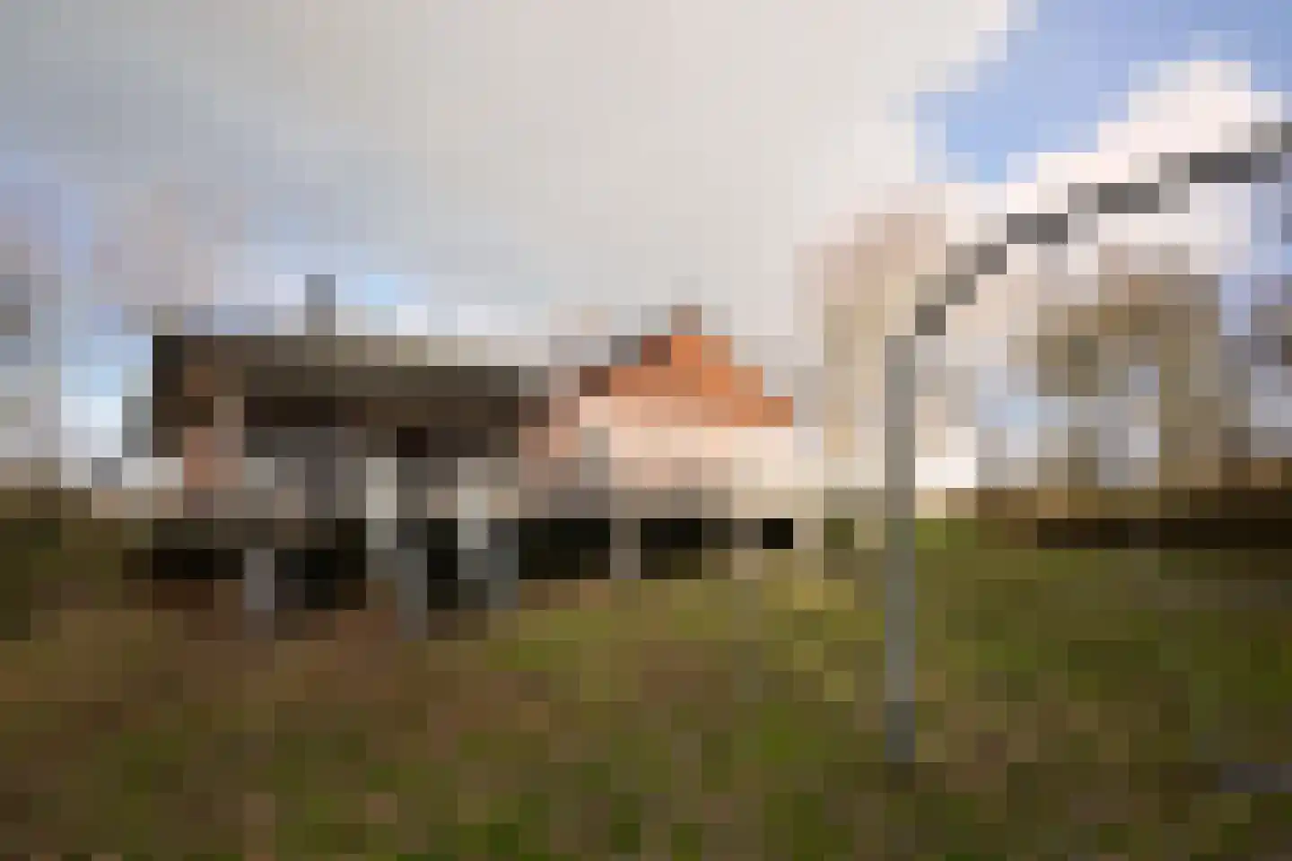 Zwarteduinenweg 5 Schiermonnikoog thumbnail 35