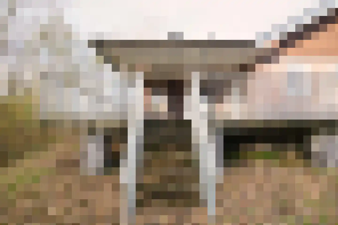 Zwarteduinenweg 5 Schiermonnikoog thumbnail 36