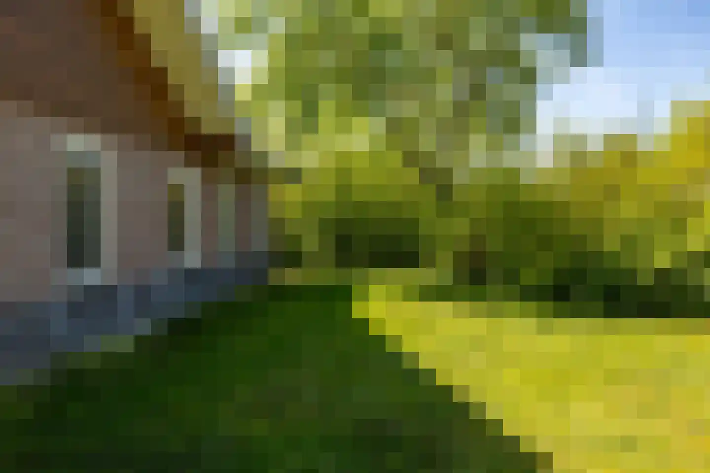 Zwarteduinenweg 5 Schiermonnikoog thumbnail 41