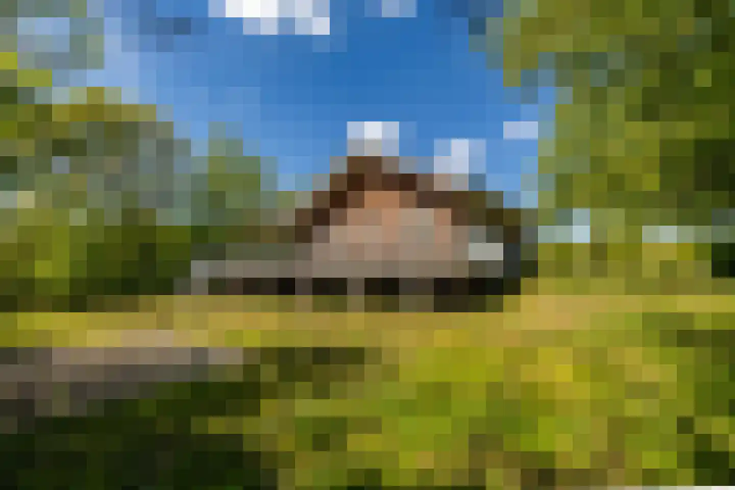Zwarteduinenweg 5 Schiermonnikoog thumbnail 43