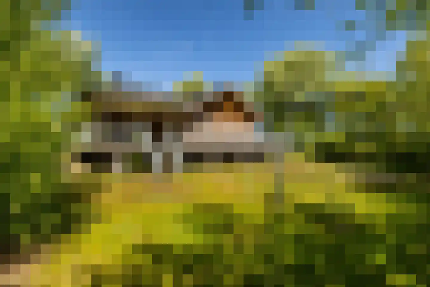 Zwarteduinenweg 5 Schiermonnikoog thumbnail 45