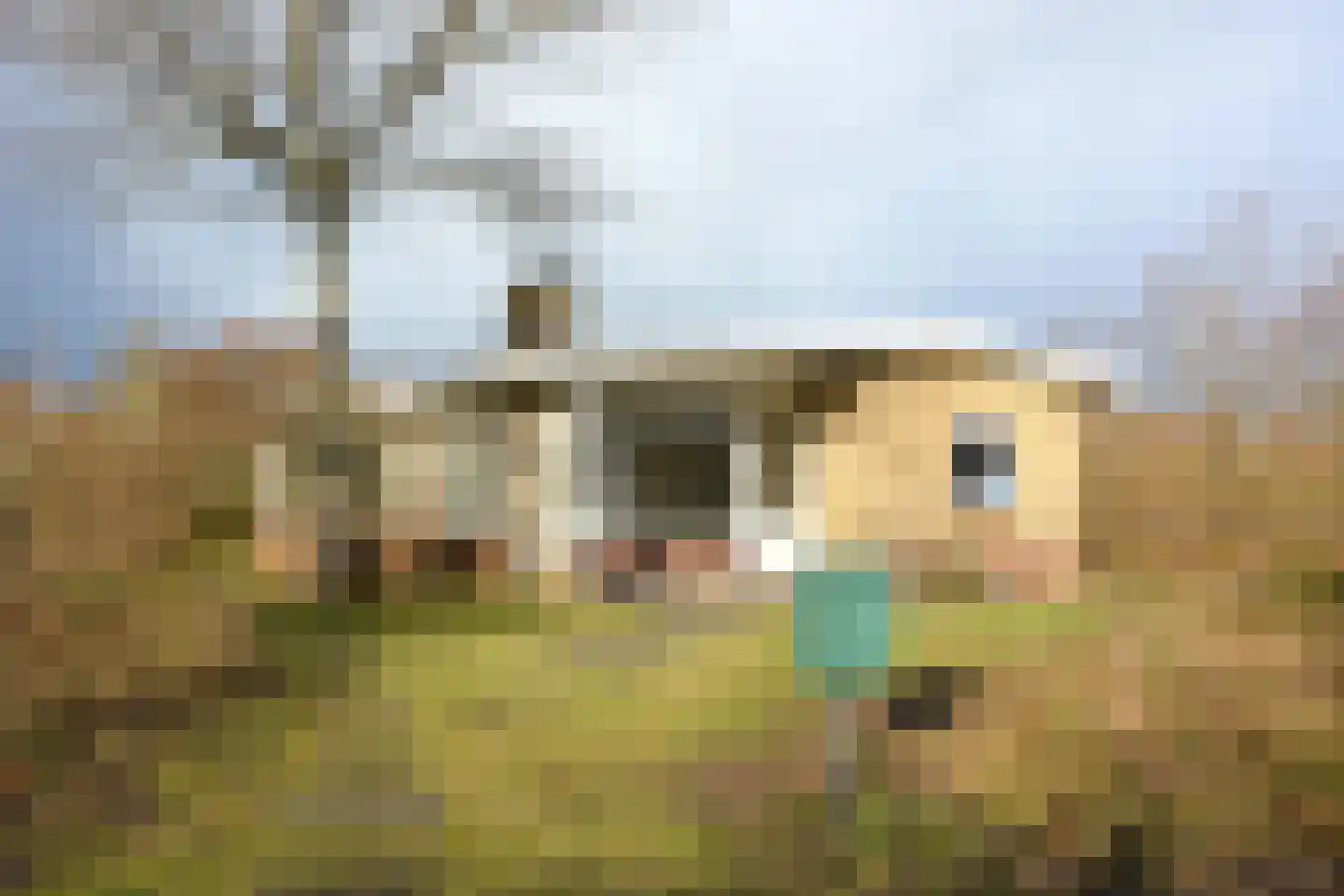 Zwarteduinenweg 6 Schiermonnikoog