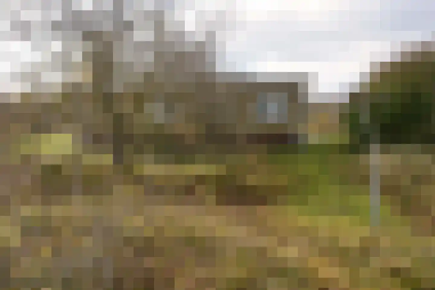 Zwarteduinenweg 6 Schiermonnikoog thumbnail 4