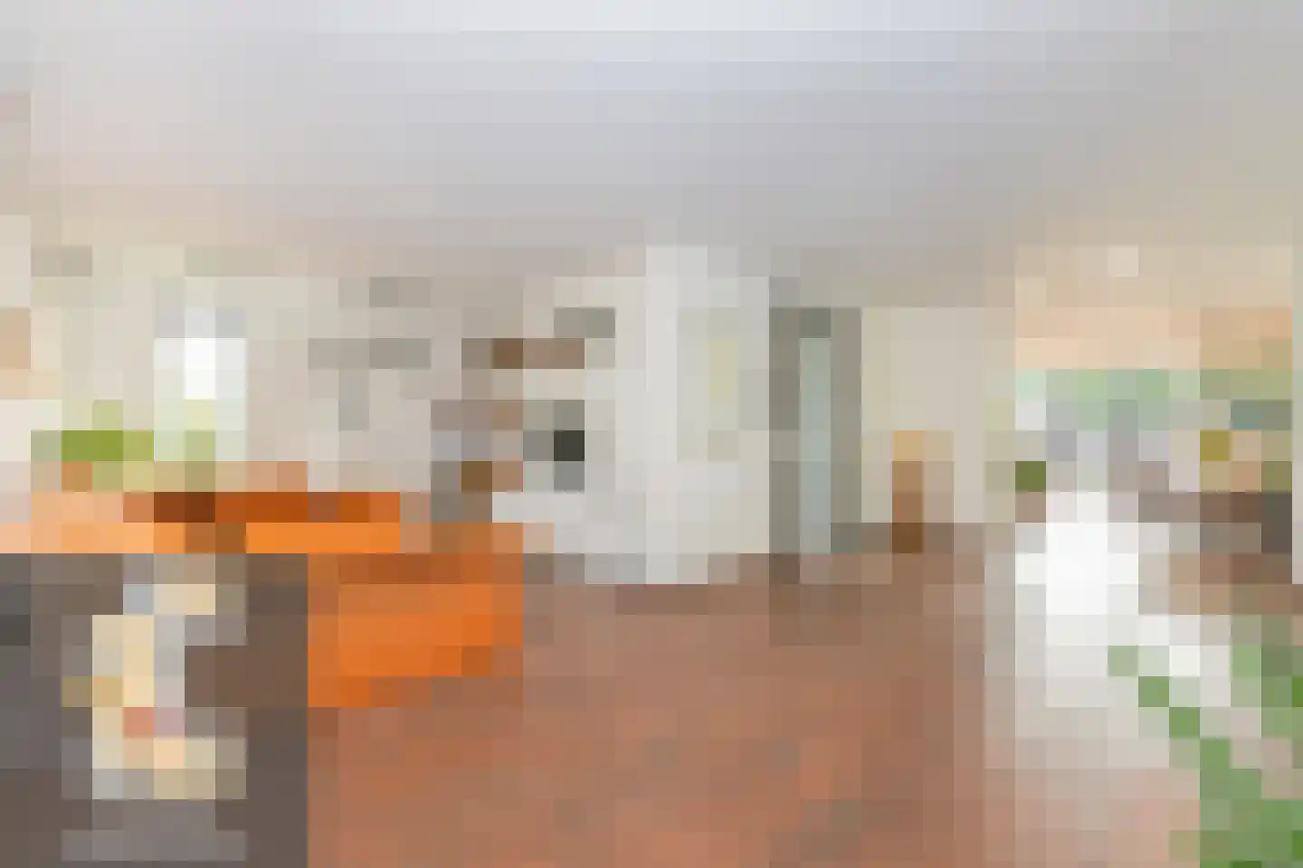 Zwartegatseweg 7 Oostvoorne thumbnail 10