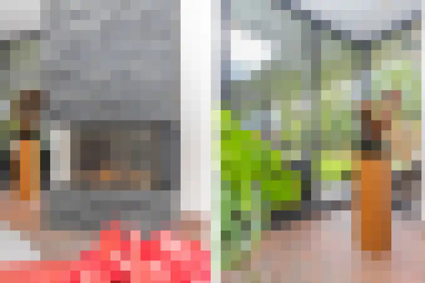 Zwartegatseweg 7 Oostvoorne thumbnail 16