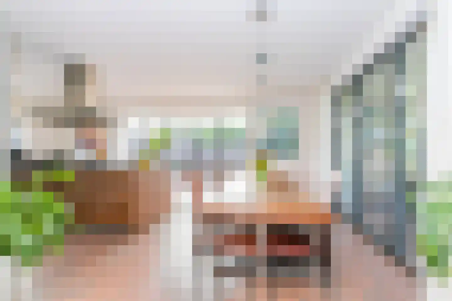Zwartegatseweg 7 Oostvoorne thumbnail 20