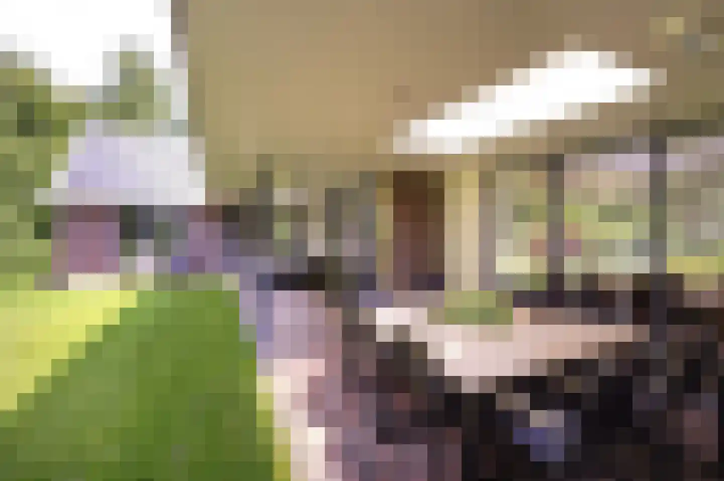Zwartegatseweg 7 Oostvoorne thumbnail 40