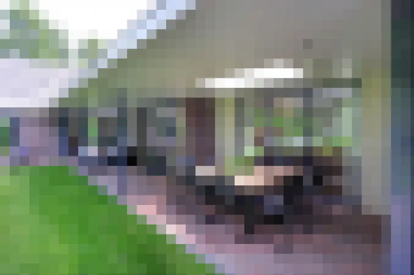 Zwartegatseweg 7 Oostvoorne thumbnail 42