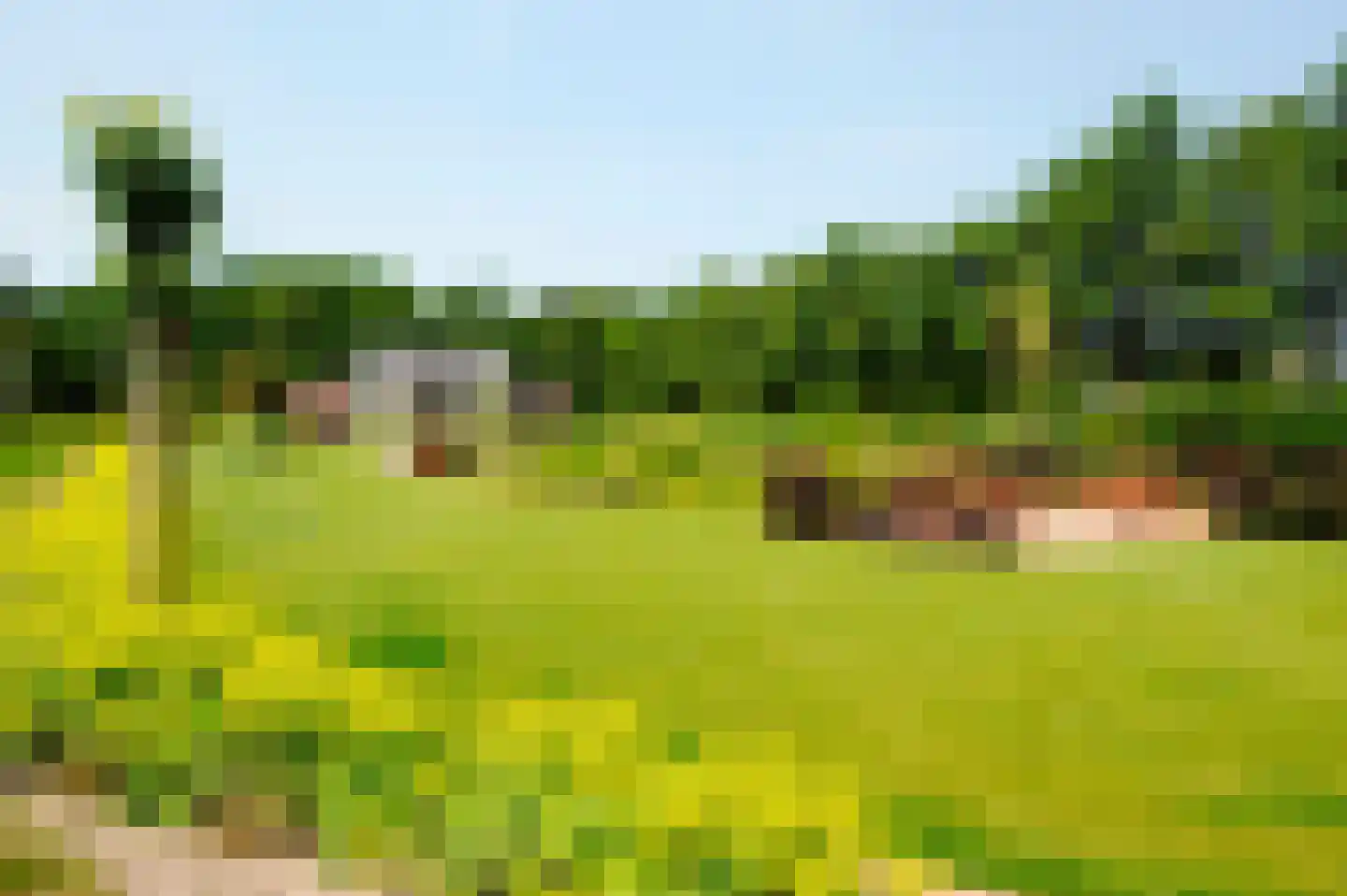 Zwartegatseweg 7 Oostvoorne thumbnail 46