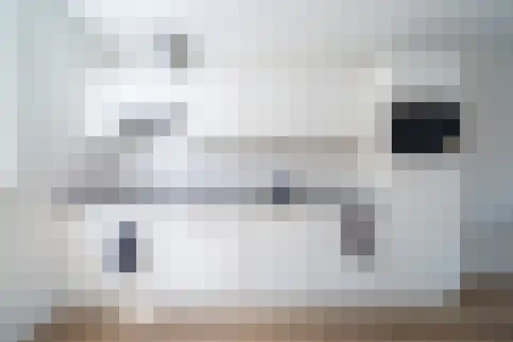Zwartekolk Wapenveld thumbnail 4
