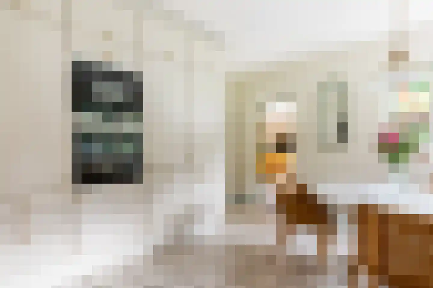 Zwartelaan 20 Oostvoorne thumbnail 16