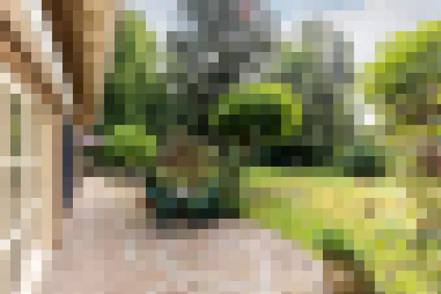 Zwartelaan 20 Oostvoorne thumbnail 36