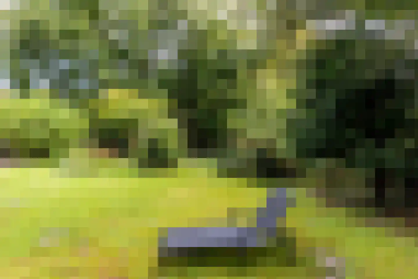 Zwartelaan 20 Oostvoorne thumbnail 39