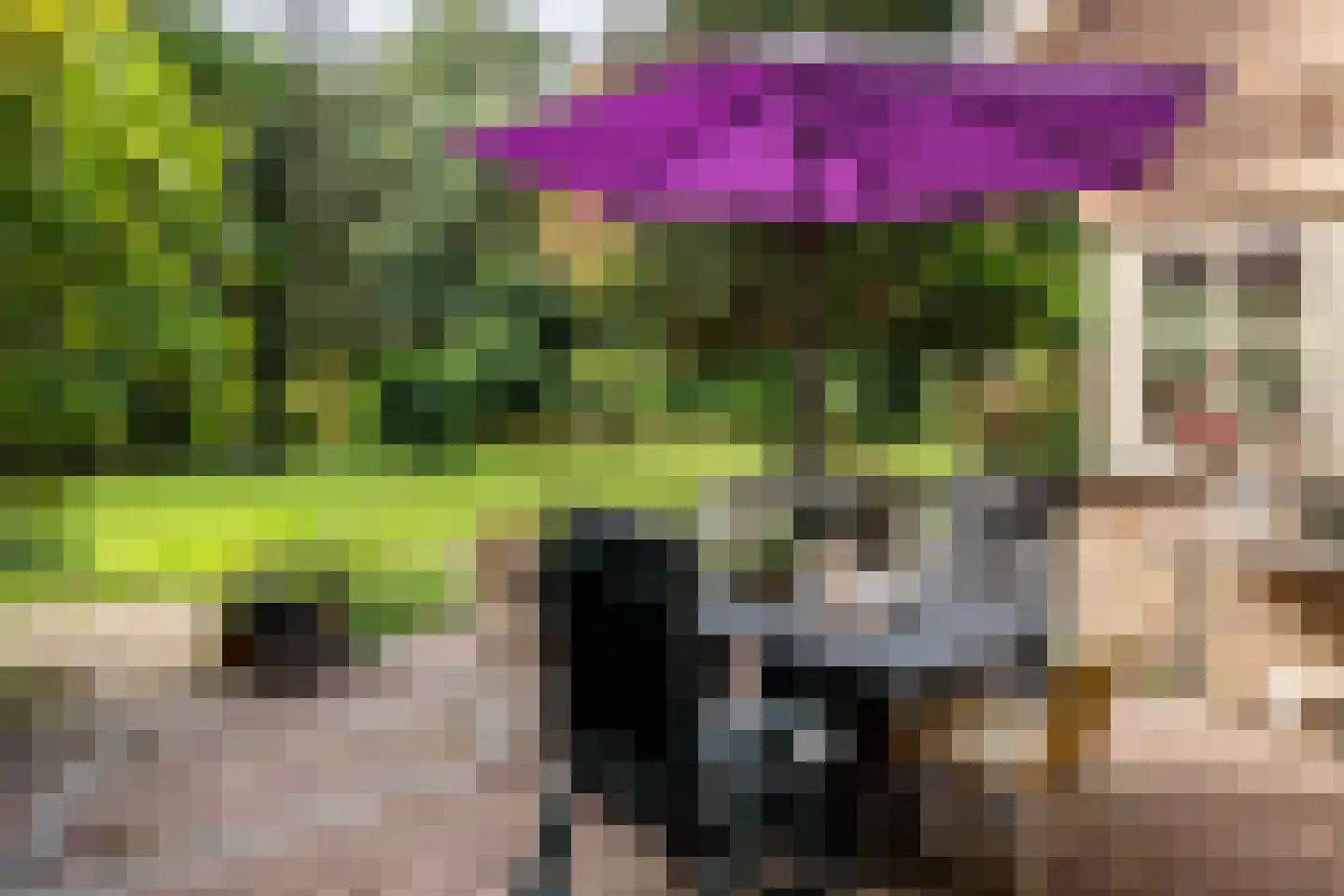 Zwartelaan 20 Oostvoorne thumbnail 42