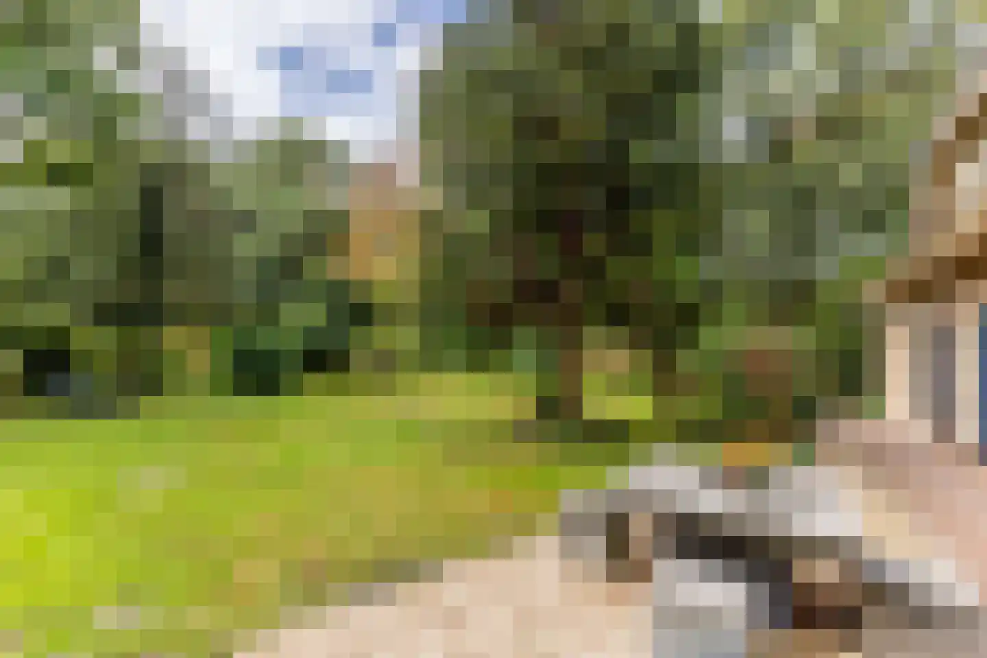 Zwartelaan 20 Oostvoorne thumbnail 43