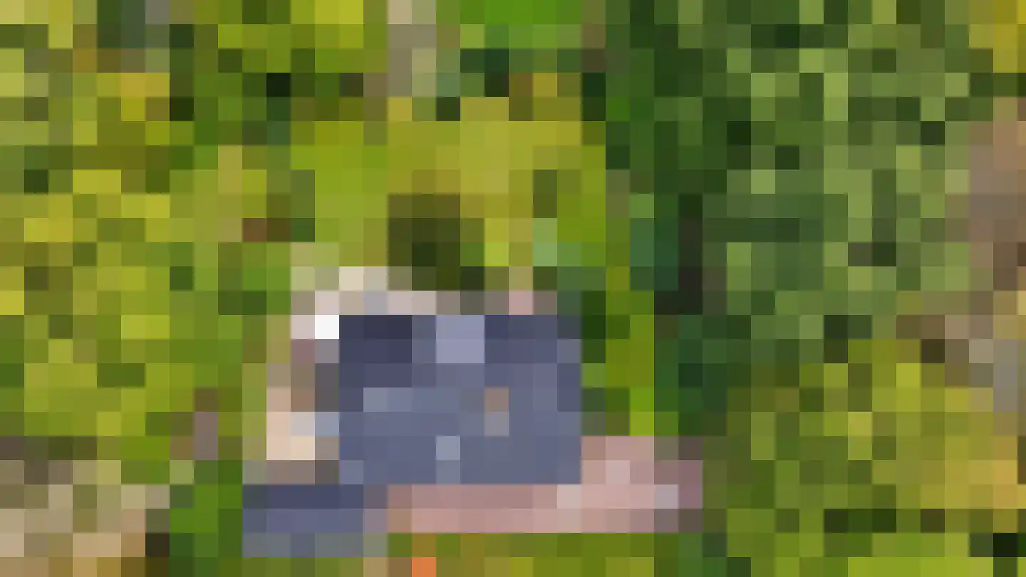 Zwartelaan 20 Oostvoorne thumbnail 47