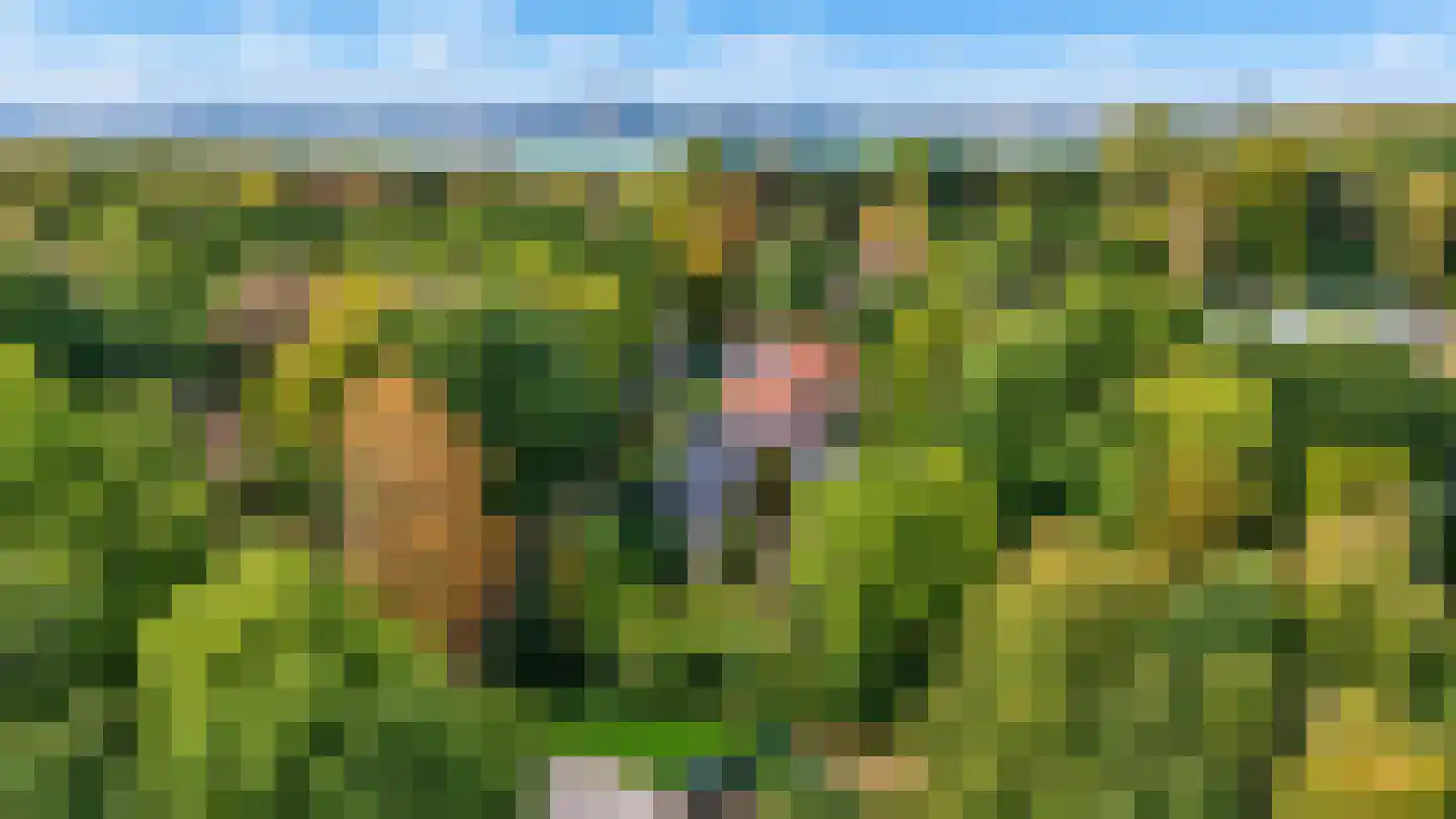 Zwartelaan 20 Oostvoorne thumbnail 48