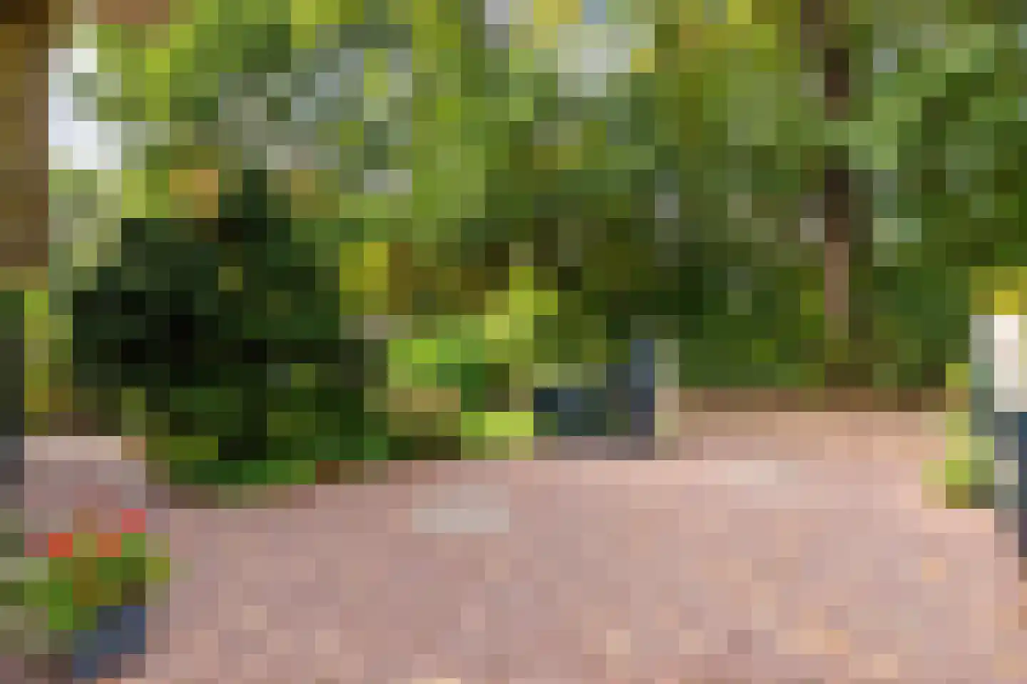 Zwartelaan 20 Oostvoorne thumbnail 6