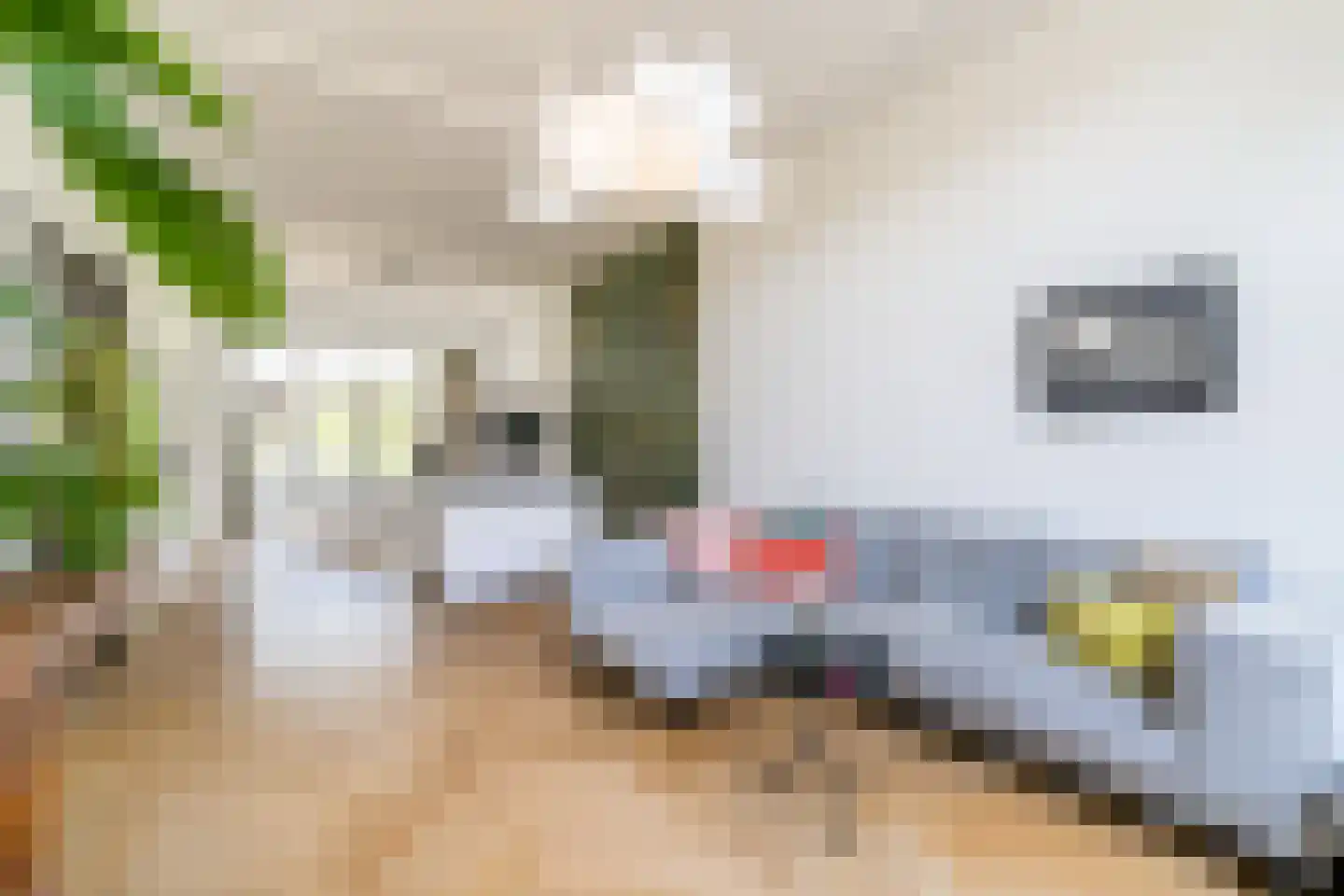 Zwartelaan 21 Voorburg thumbnail 10
