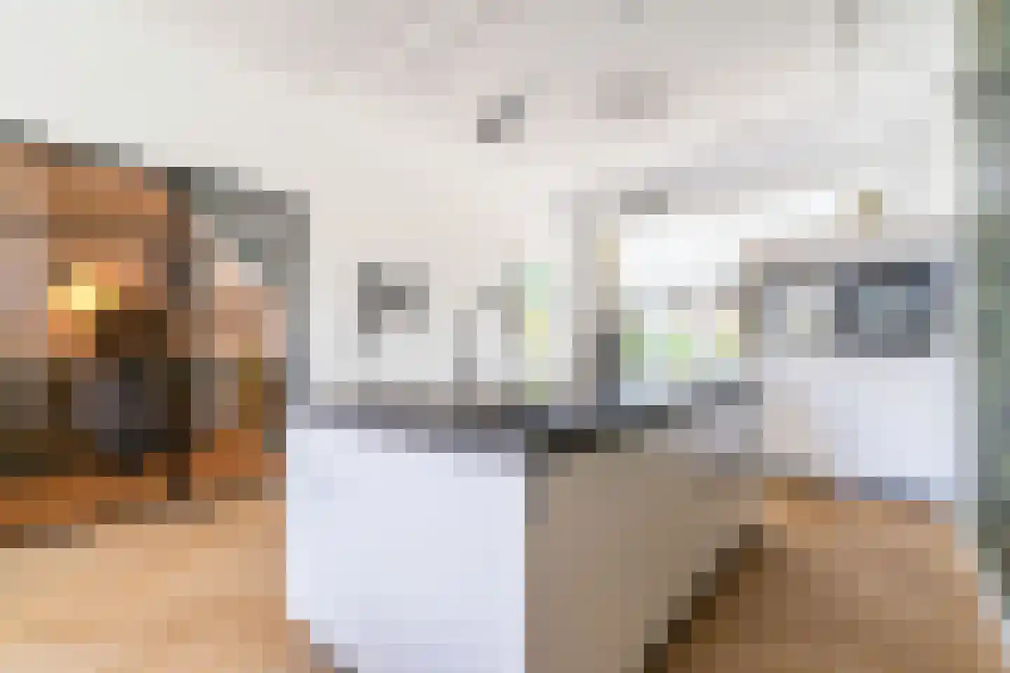 Zwartelaan 21 Voorburg thumbnail 16