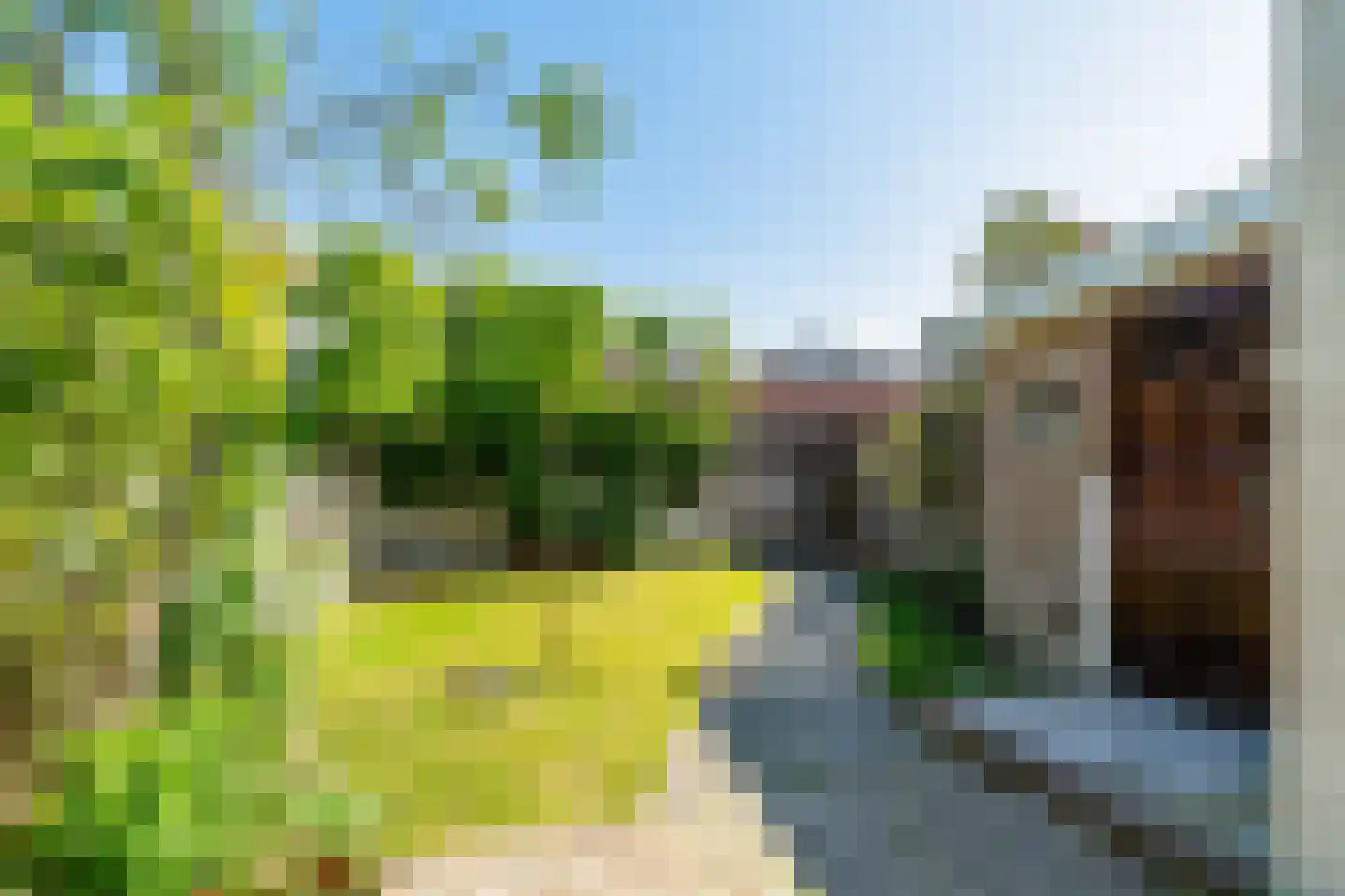 Zwartelaan 21 Voorburg thumbnail 26